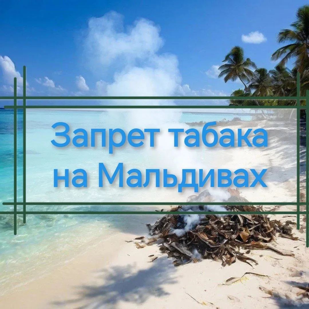 ВАЖНО ❗