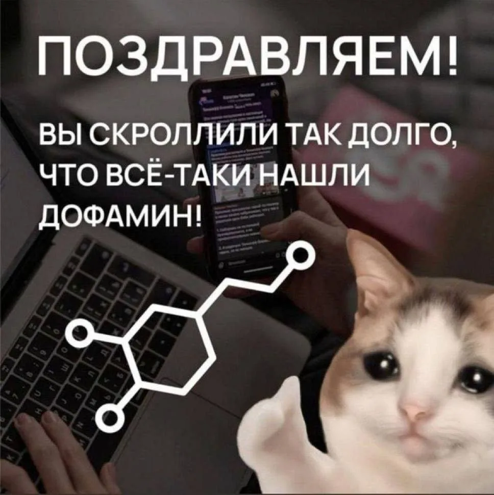 🧪 Анализы — со скидкой до 25% и расшифровкой врача