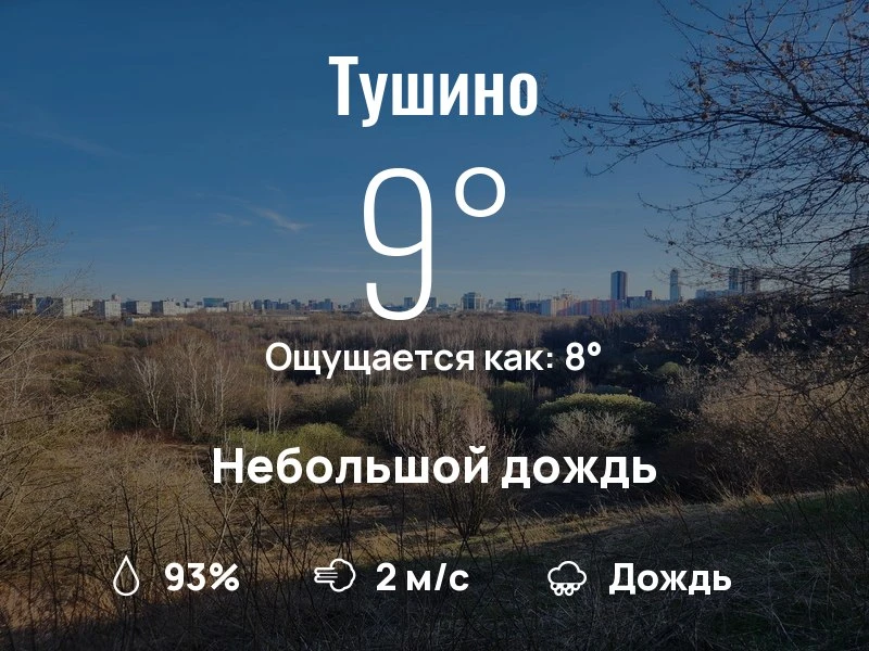 Что с погодой в Тушино?