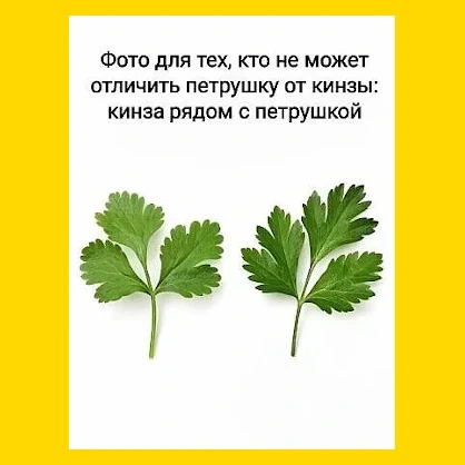 Полный Хохотамбл! Подпишись скорее