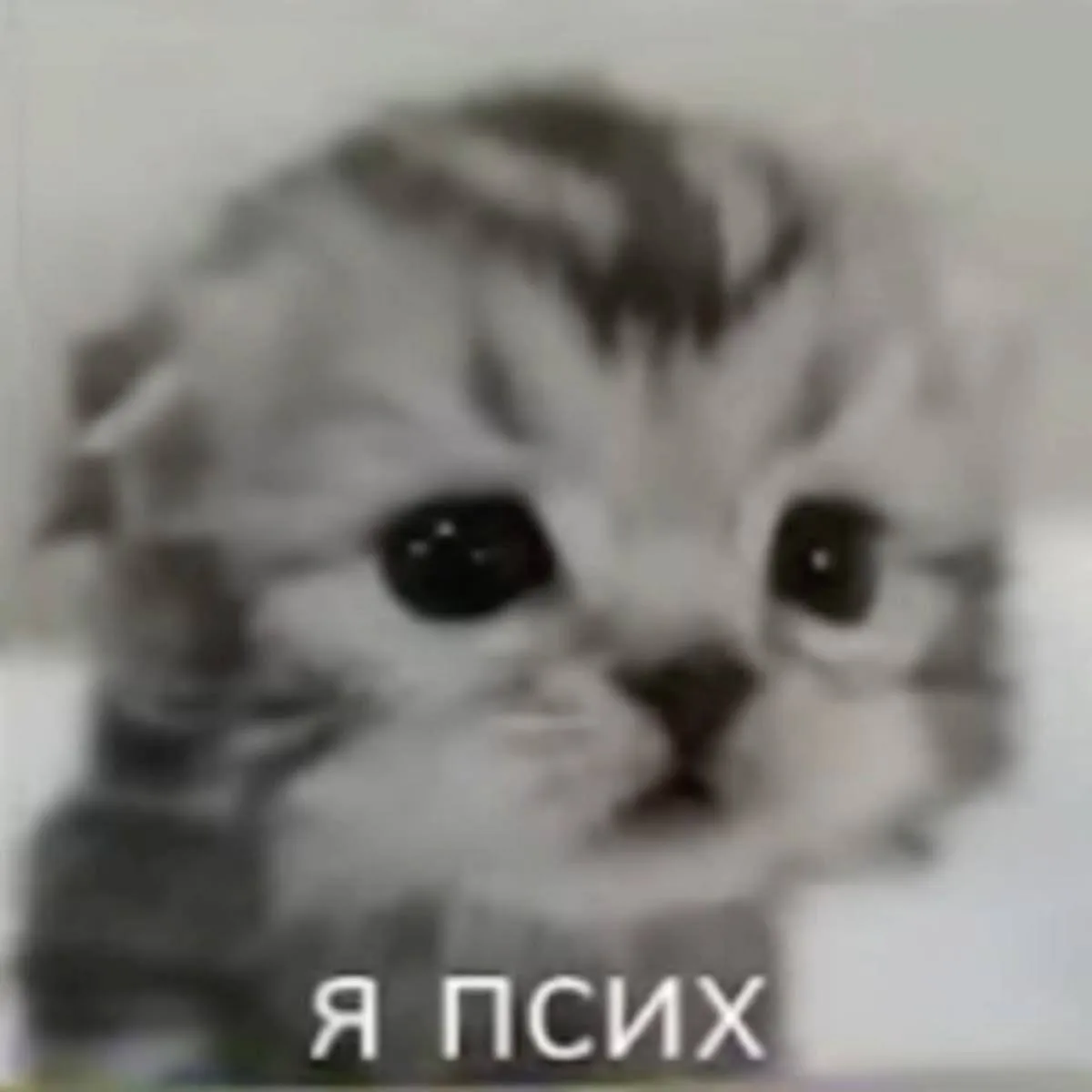 🙃Всемирный день психического здоровья отмечается сегодня