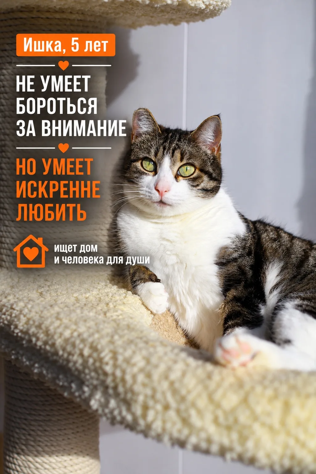 Ишка — невероятно нежная, трепетная и ласковая девочка. Но разглядеть это в условиях пр...