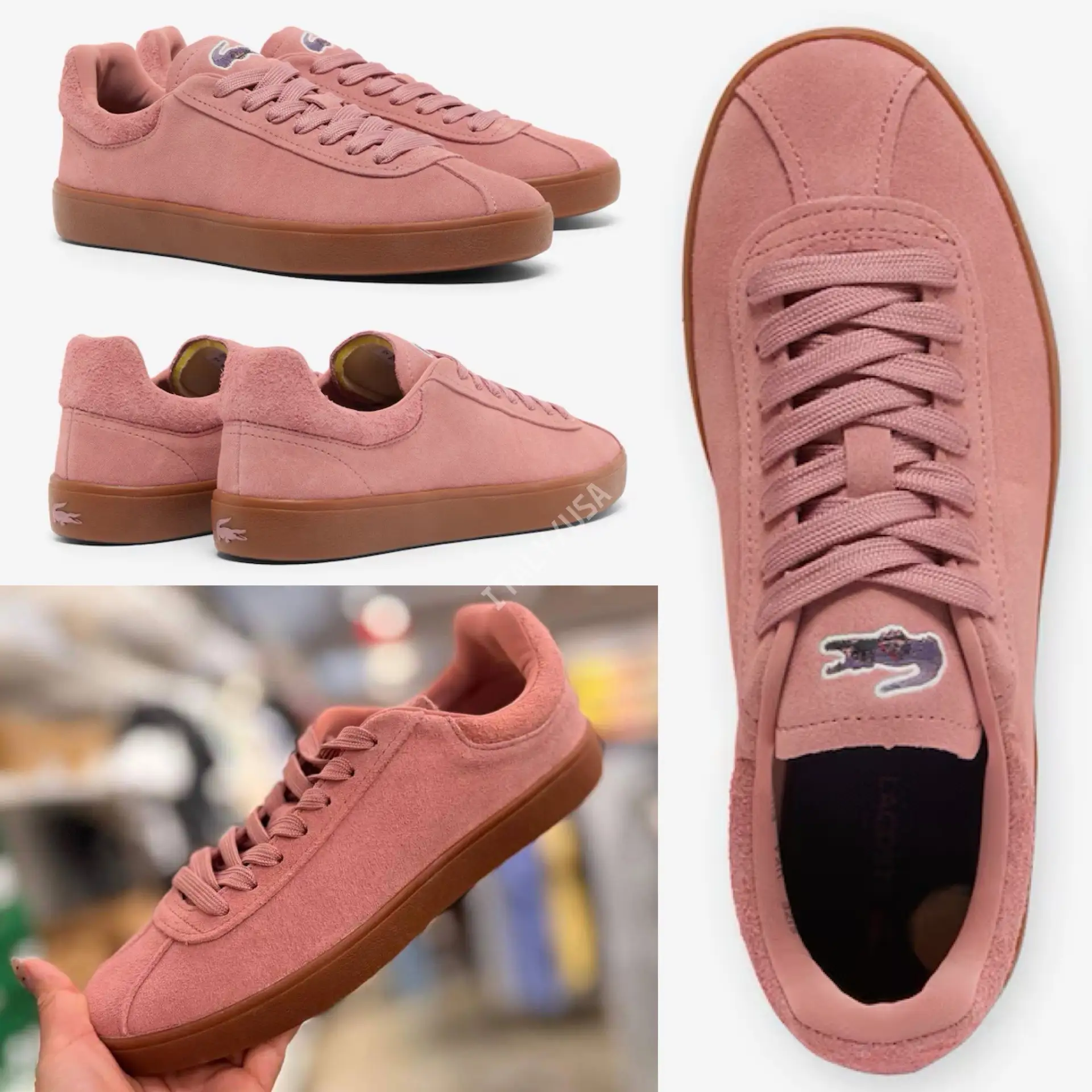 🐊Lacoste🐊
