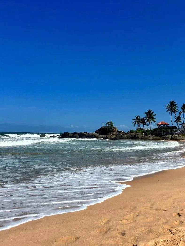 🏖 Вайб как в Турции, но с экзотикой Шри-Ланки!