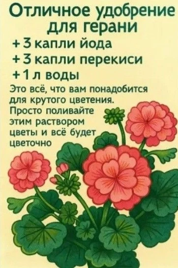 Удобрение для герани 🌱