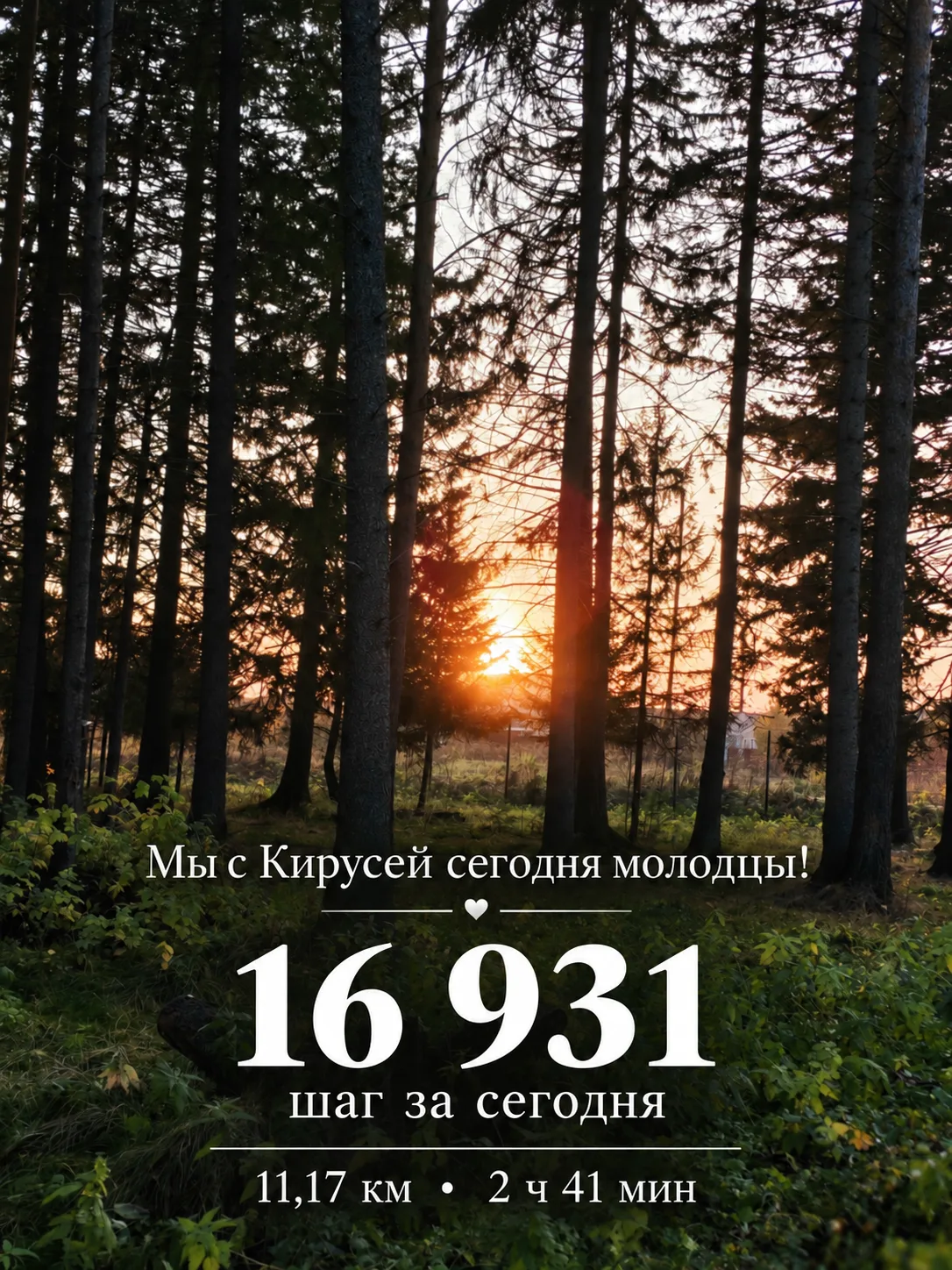 ЛАЙФ | Нагулялись от души 🍂