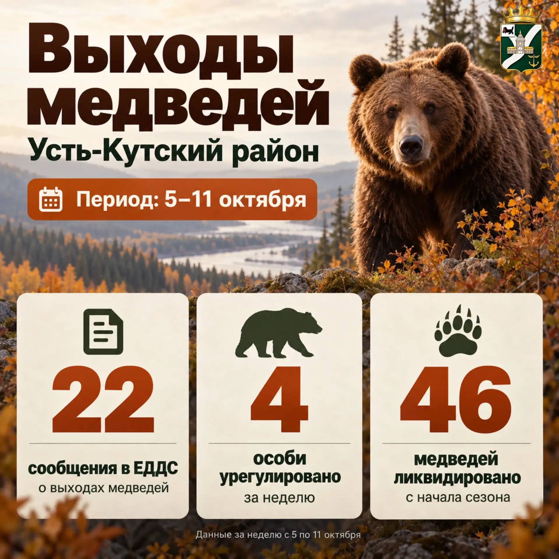 🐻 За неделю в Усть-Кутском районе зафиксировано 22 сообщения о выходах медведей