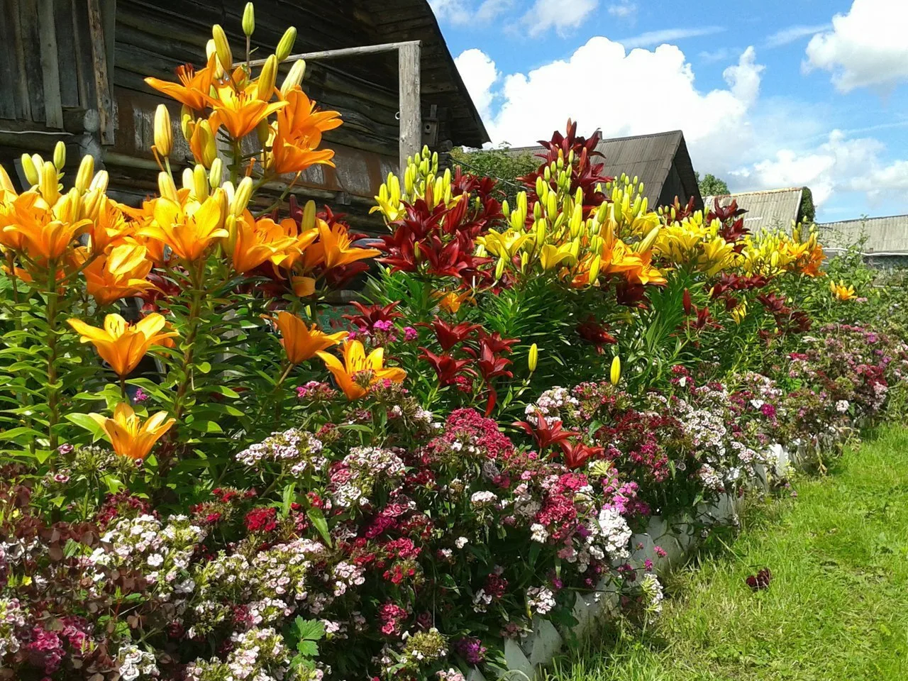 👍 🌺 👍