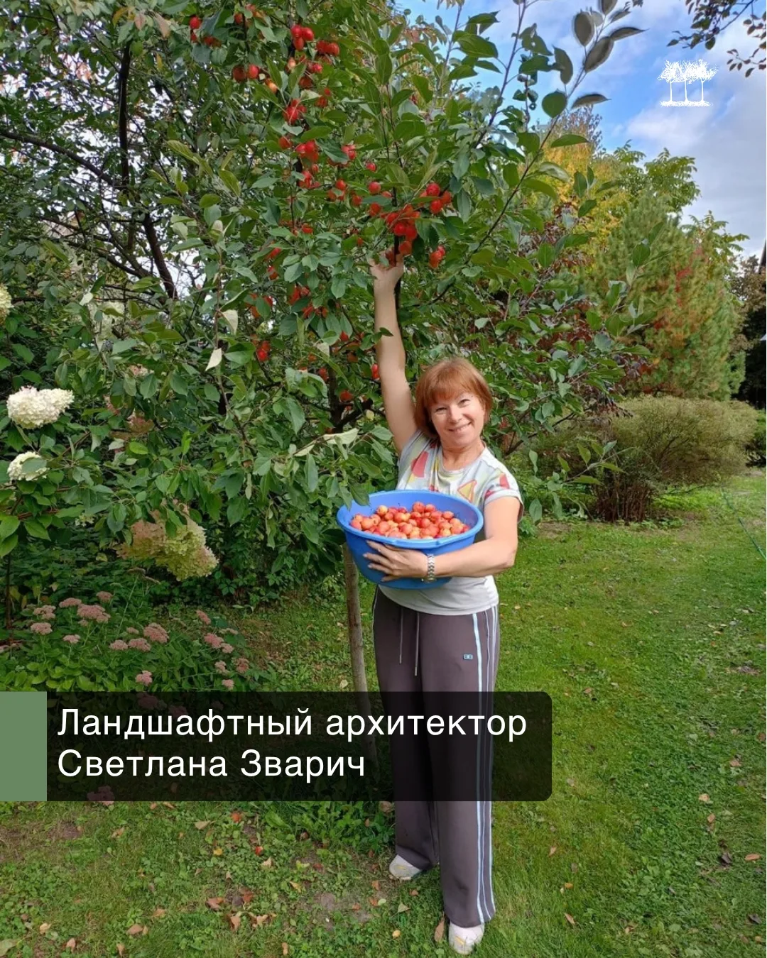 Яблочный сезон в самом разгаре! Давайте делиться своим урожаем!