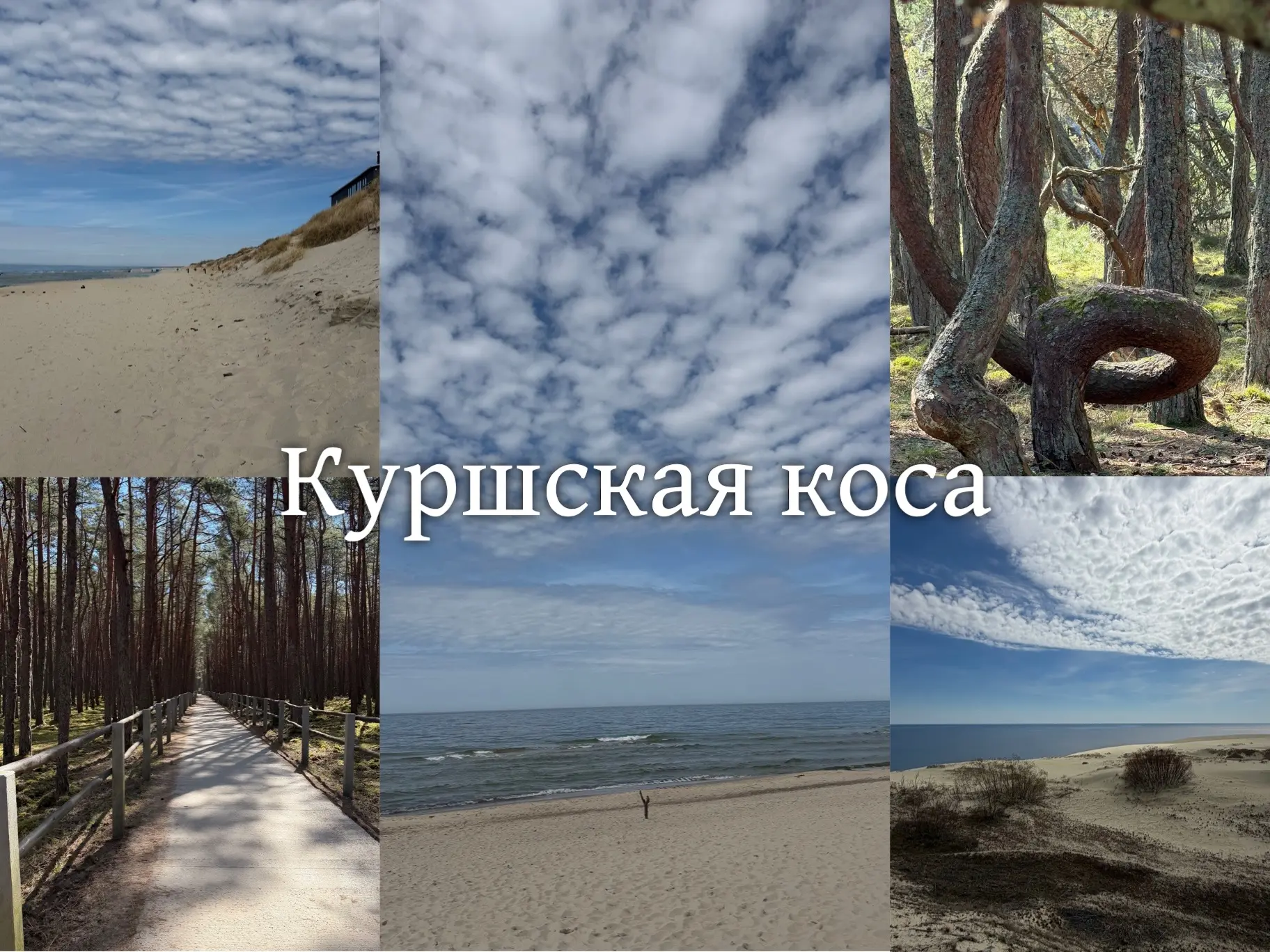 Дорогие друзья! ✨ Наконец-то вернулись из рабочей поездки в прекрасный Калининград Алла...