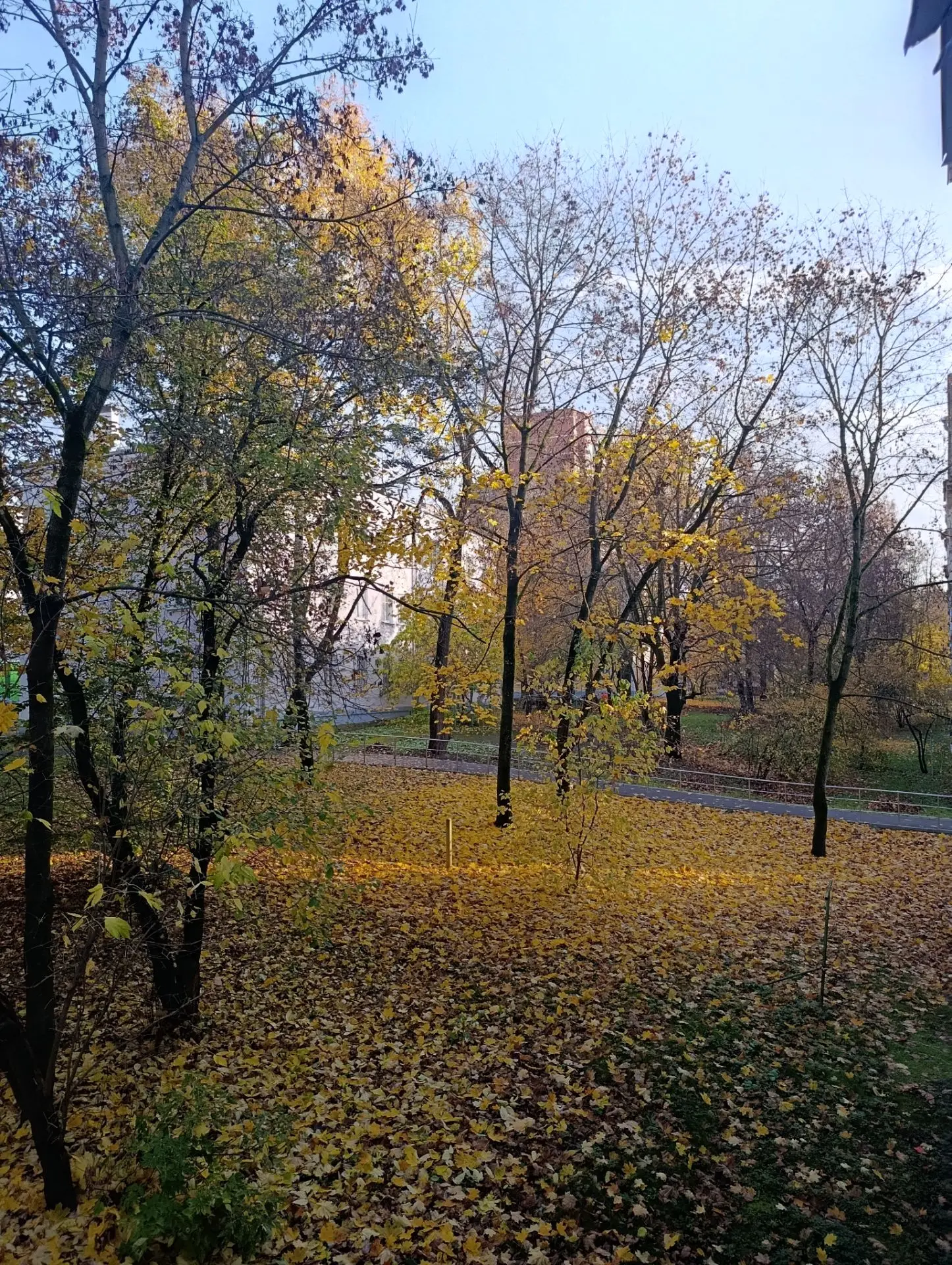 А у нас распогодилось! ☀️ Солнышко вышло, небо голубое, и +16 градусов — просто идеальн...