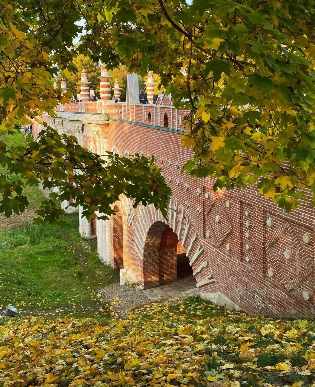 Найдено идеальное место для осенних прогулок🧡