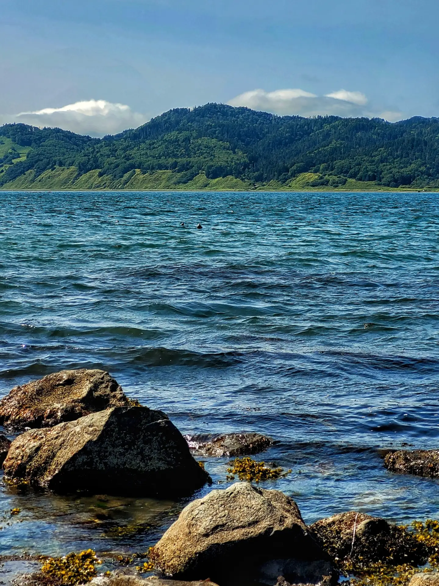 🌊 Морские пейзажи 🌊