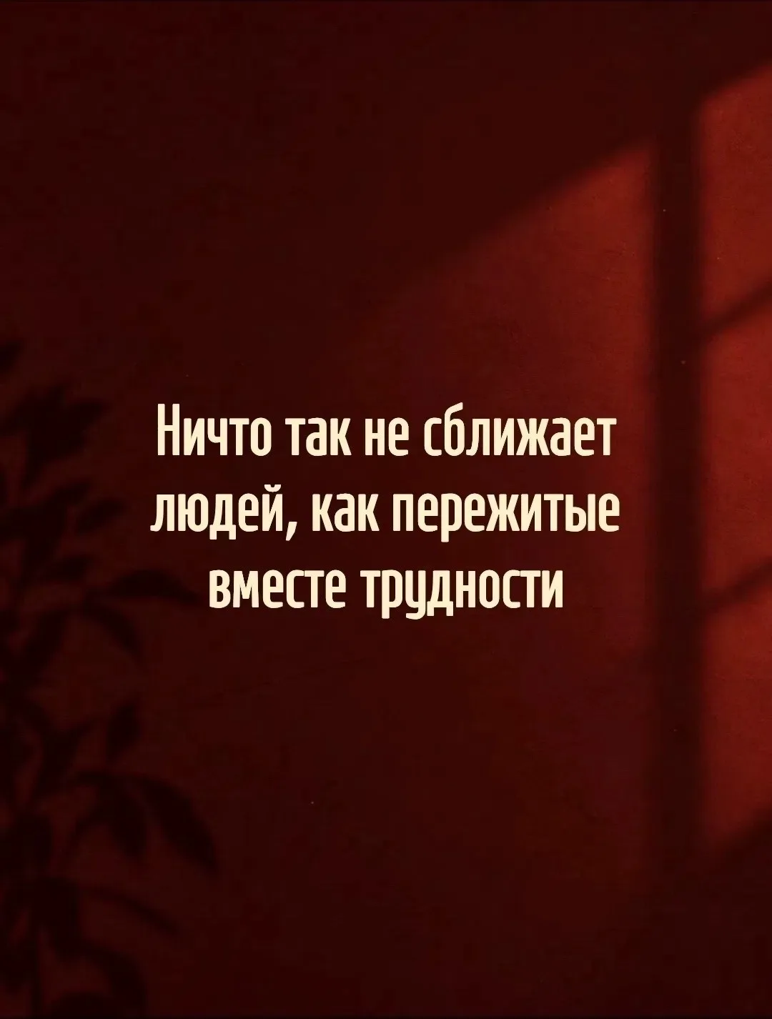Мудрость слов | цитаты Мудрость слов | цитаты