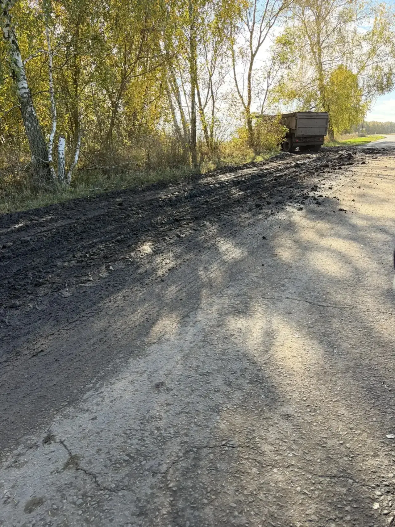 От подписчицы: