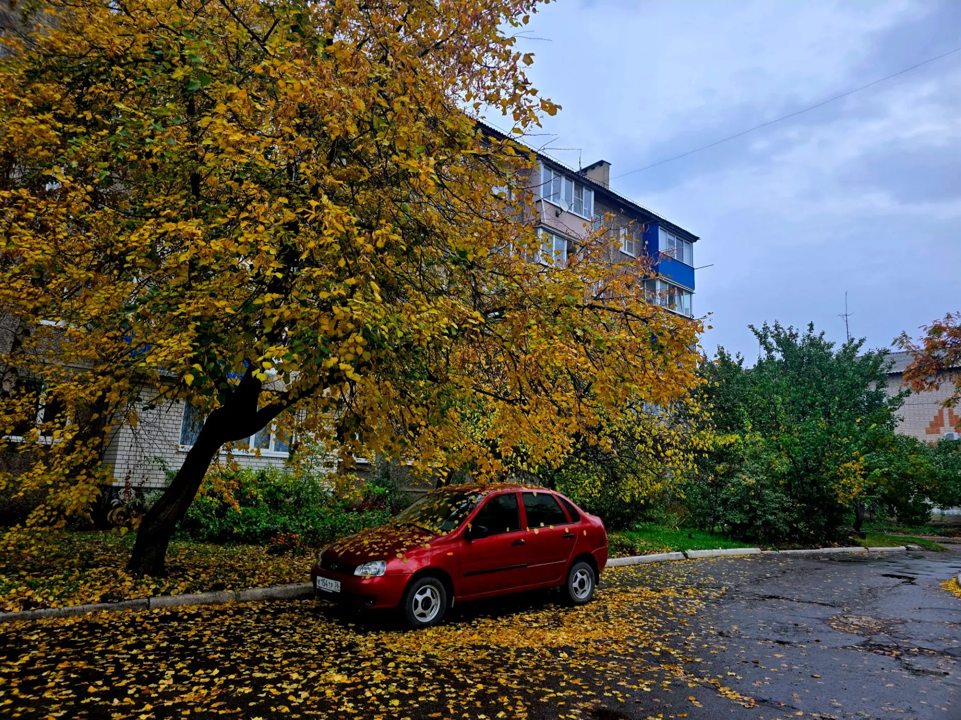 Фото