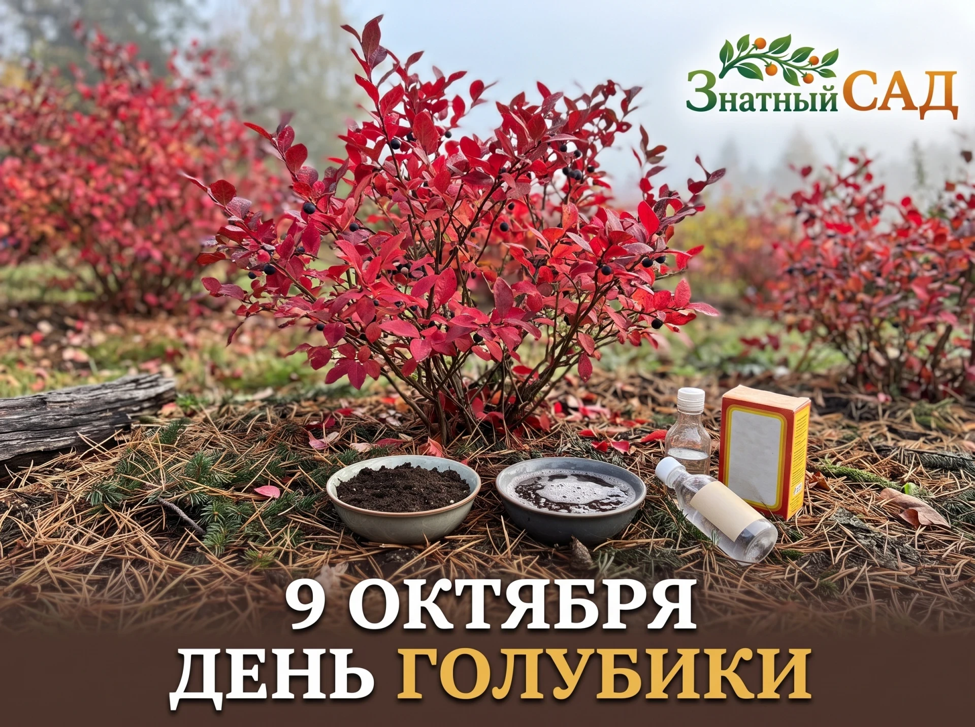 🌶️ Салют, знатные мои! На связи Патрик