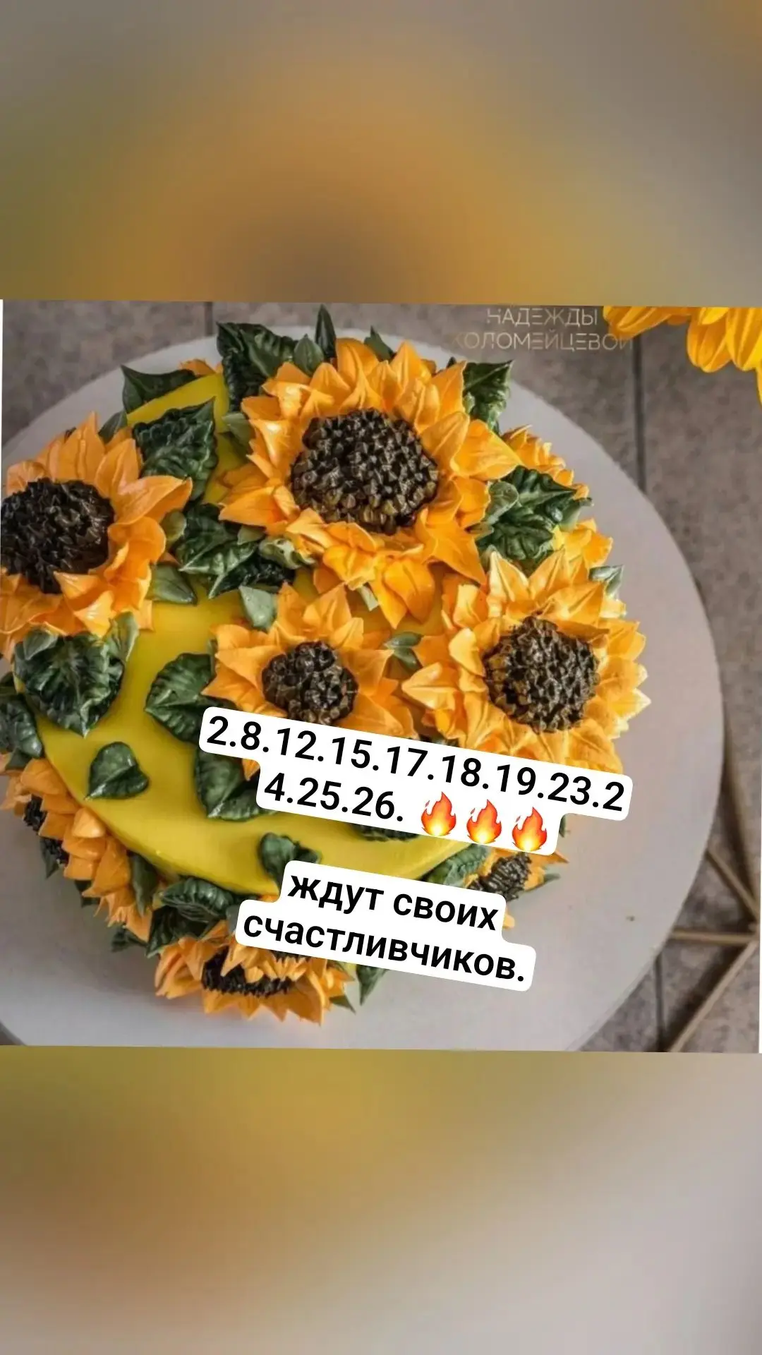 «Ну что, мои дорогие, остались считанные номера! 😱