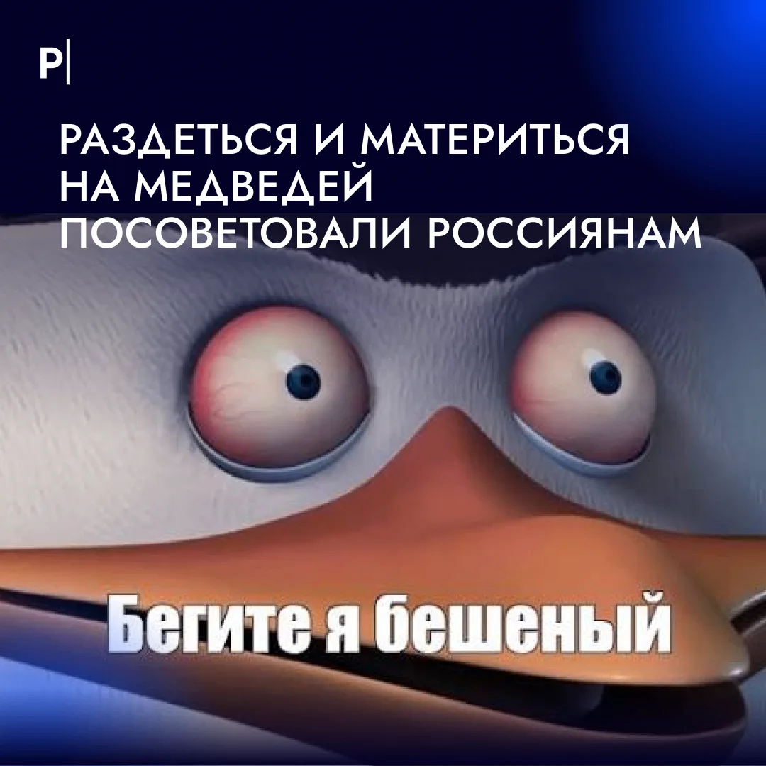 🐻 Раздеваться и материться при встрече с медведем посоветовал россиянам охотник Алексе...