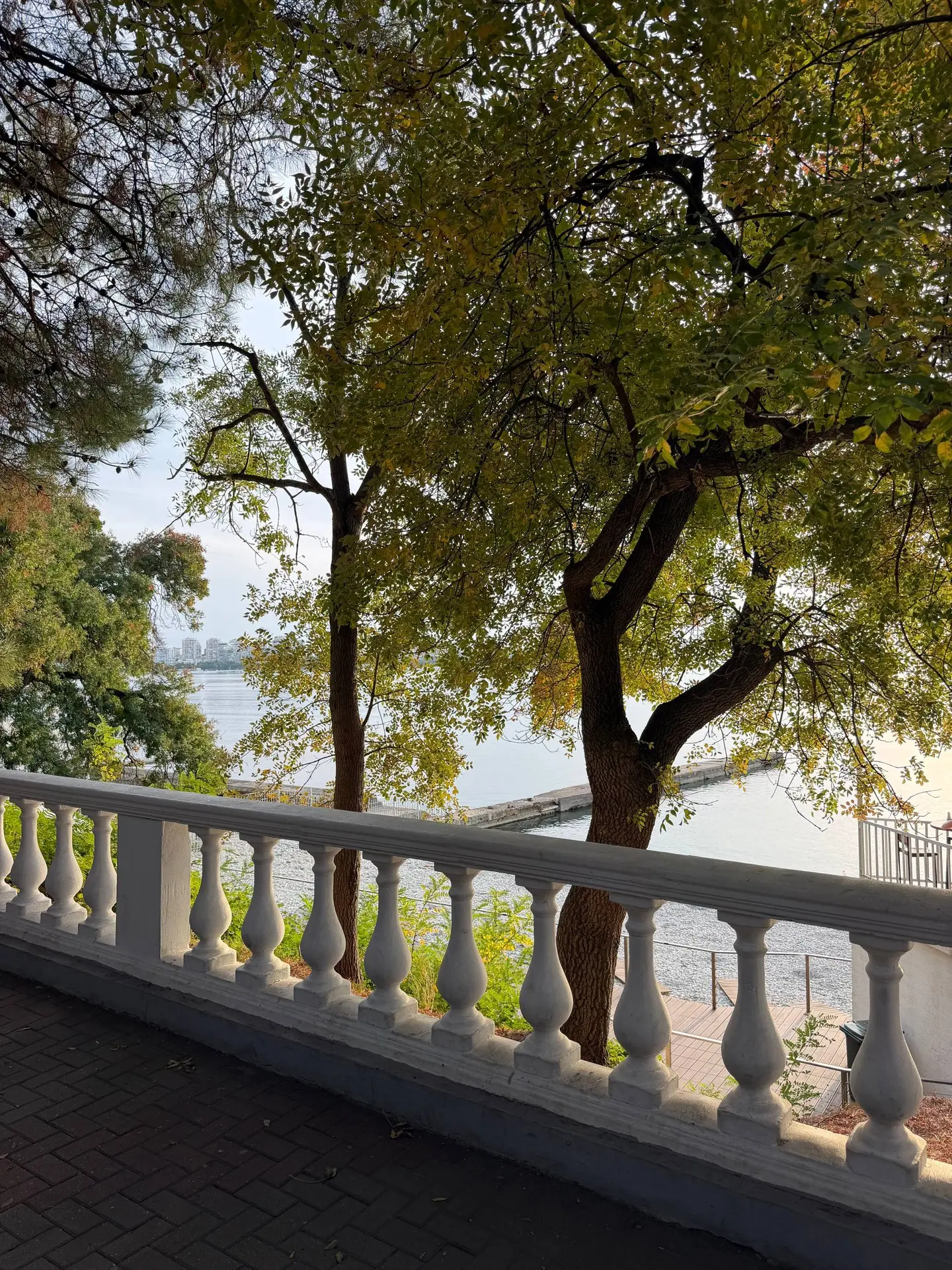 Осень в Геленджике 📍