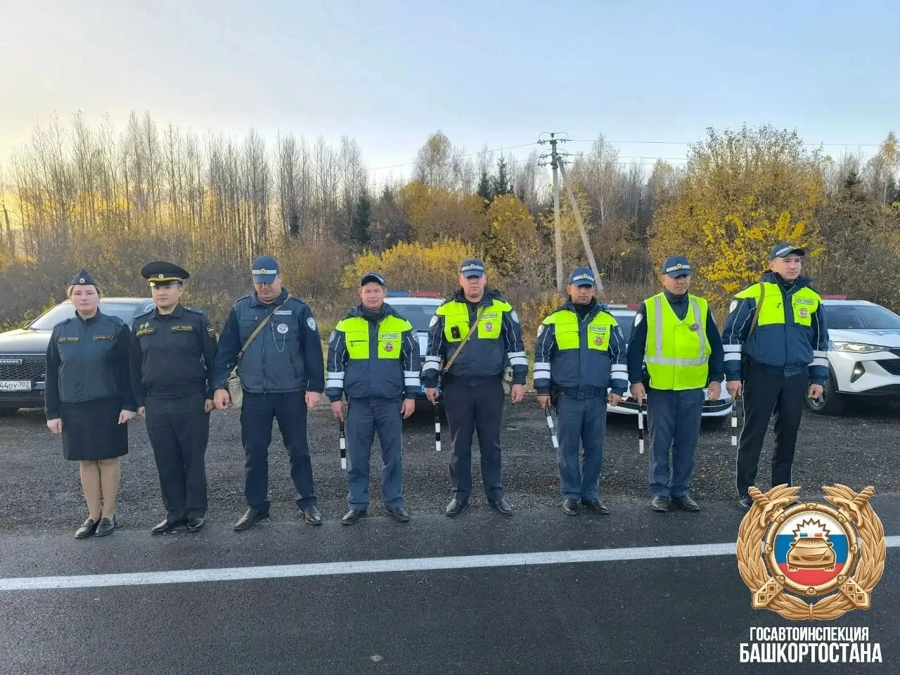 🚔 Внимание, водители!