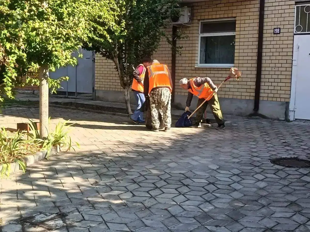 Анапа, октябрь - время собирать листья🍁