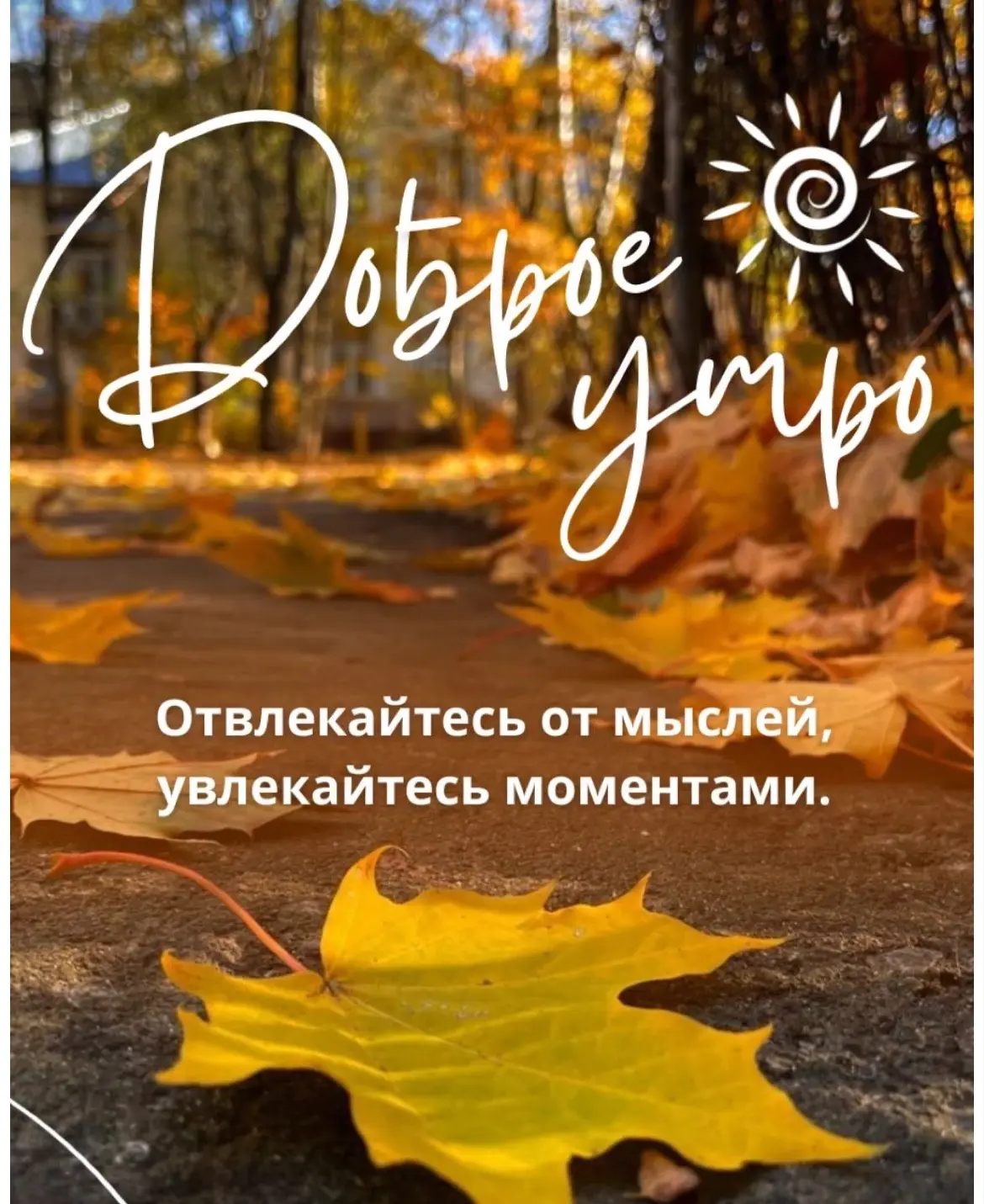 📍Рубрика: День с НГПУ