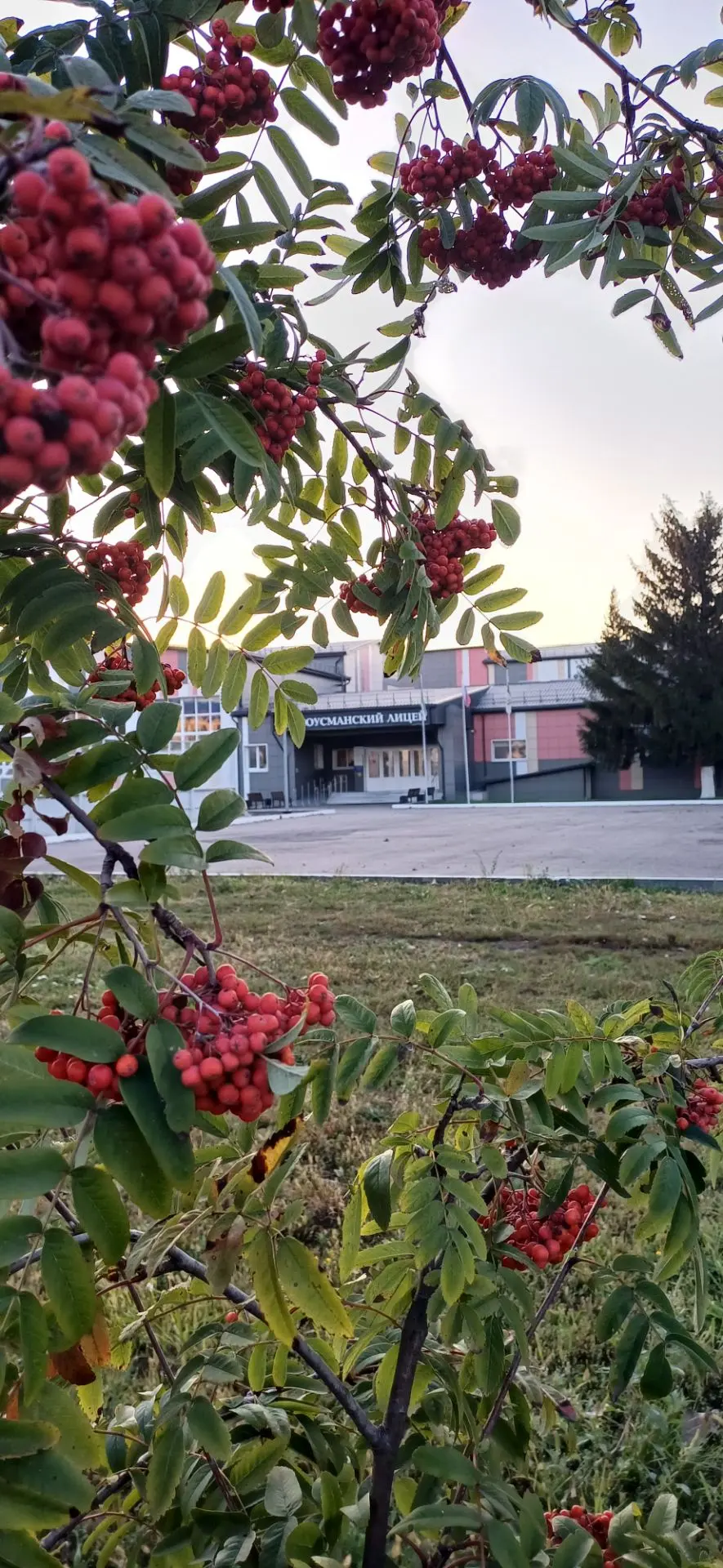 🍁Дыхание осени...