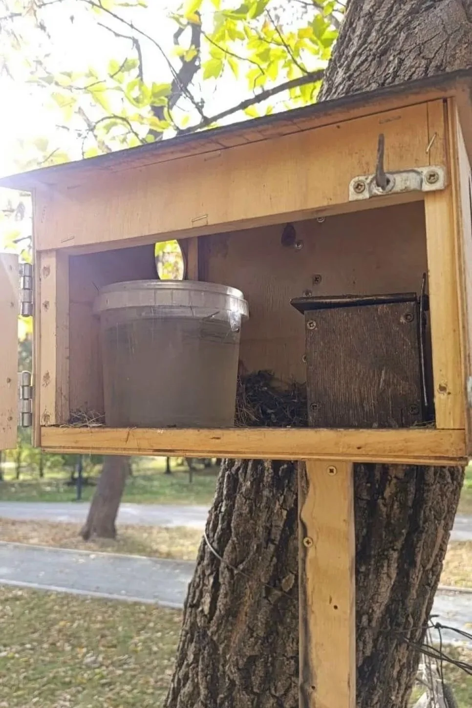🐿 Барнаульцы крадут орехи и семечки из беличьих кормушек в Изумрудном парке