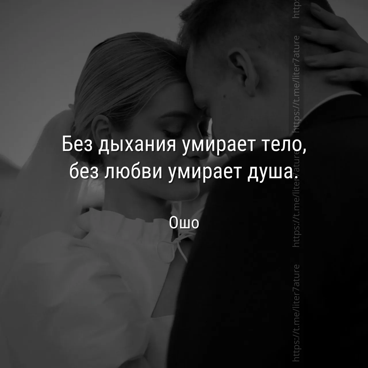 НАШИ КАНАЛЫ ДЛЯ ПОДПИСКИ: