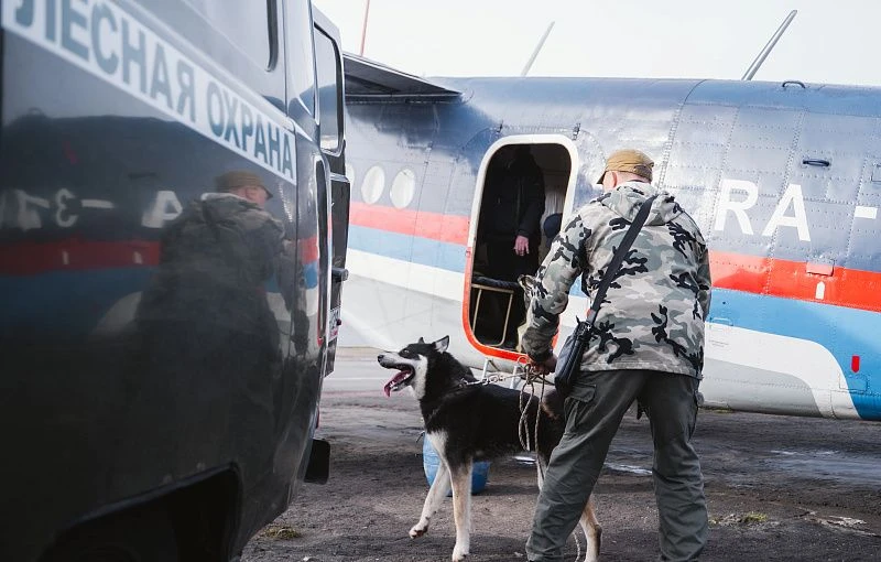 🚨🐻 В Золотице проведут ротацию охотников на медведя