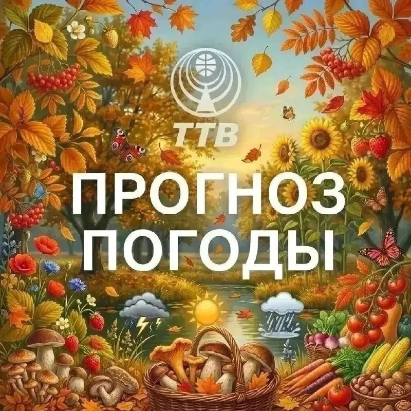 Прогноз погоды в Тулуне и Тулунском районе на пятницу, 16 октября:
