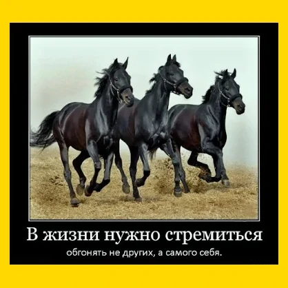 Полный Хохотамбл! Подпишись скорее