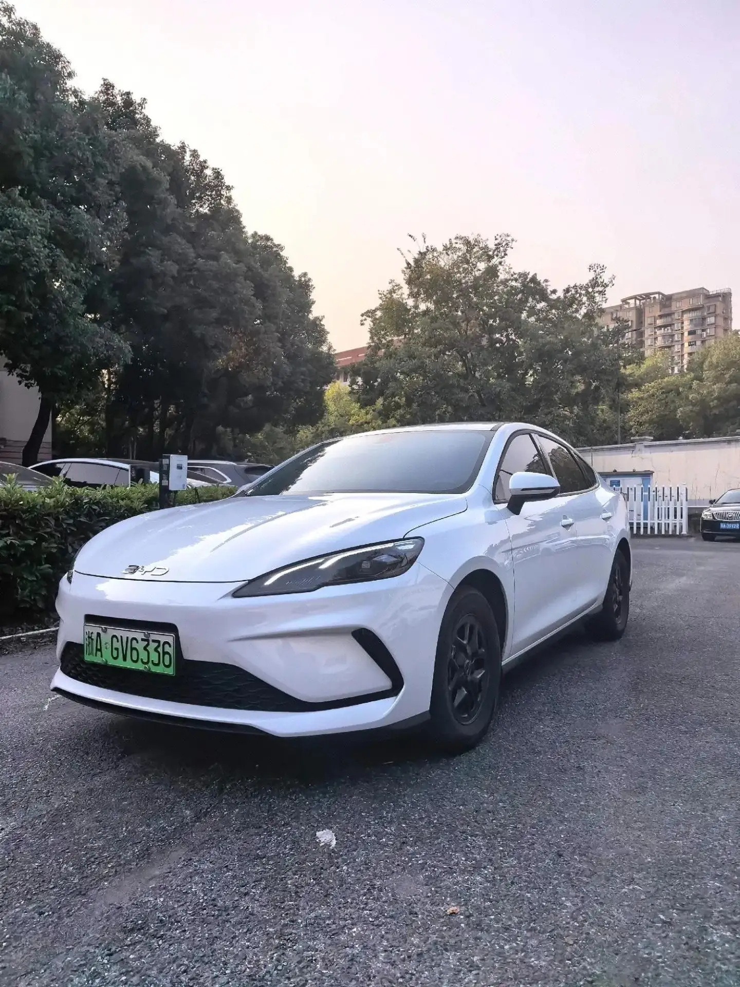 🚗 BYD 2026