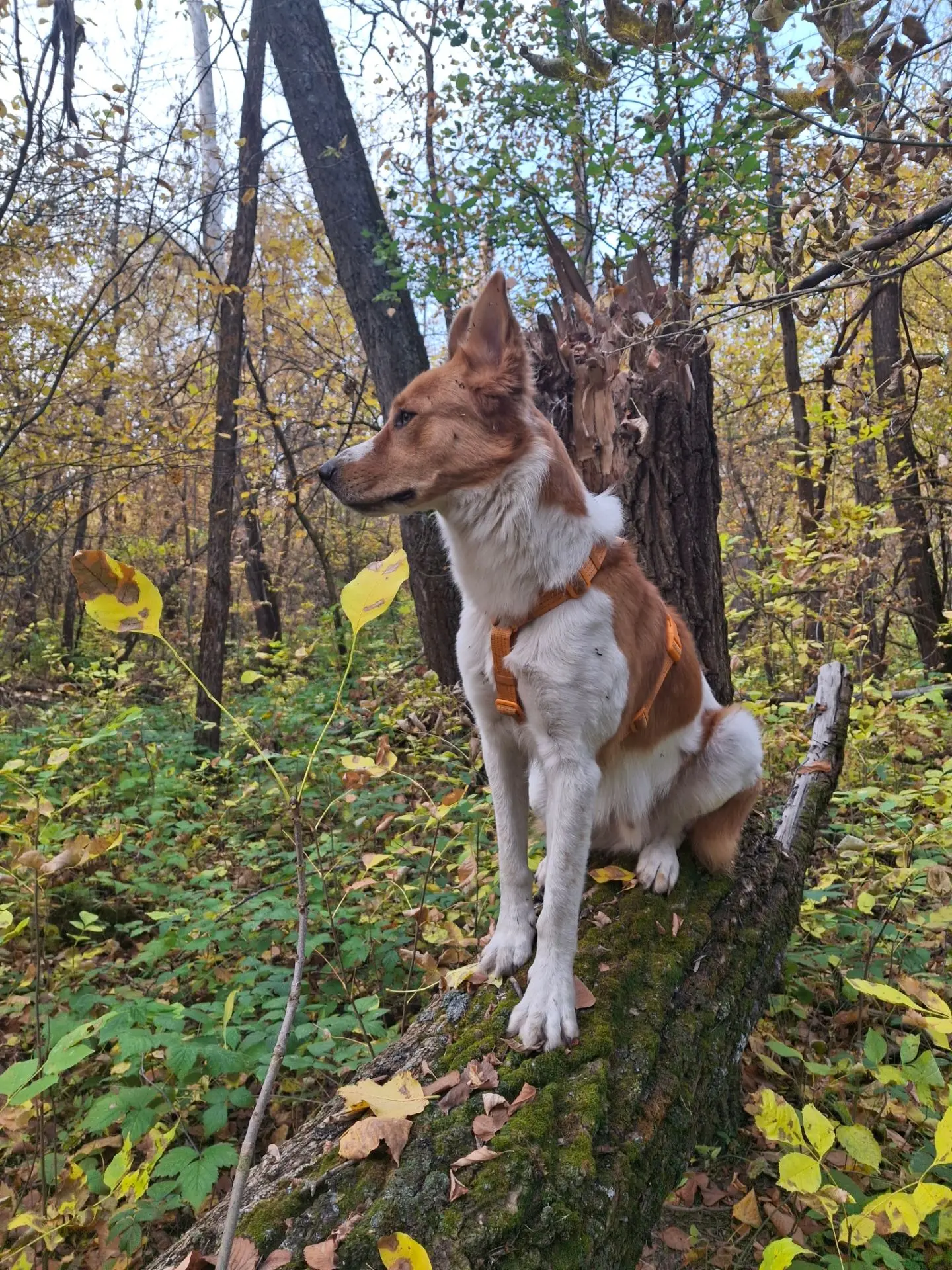 Ну оооочень доброе утро😍