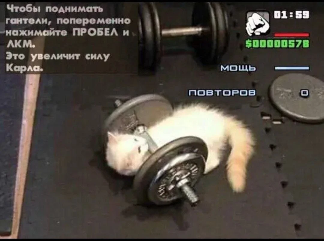 Котокач сила +1