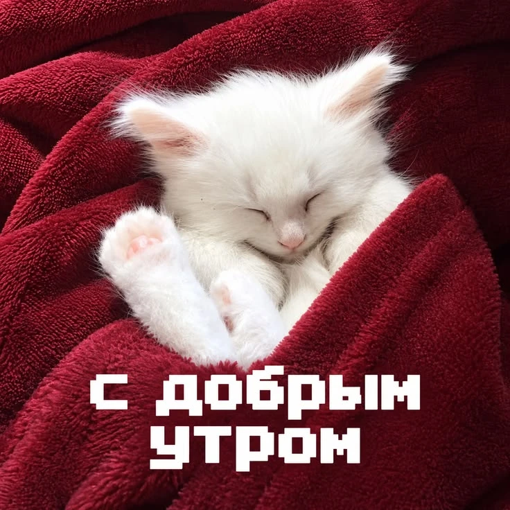 #доброеутро