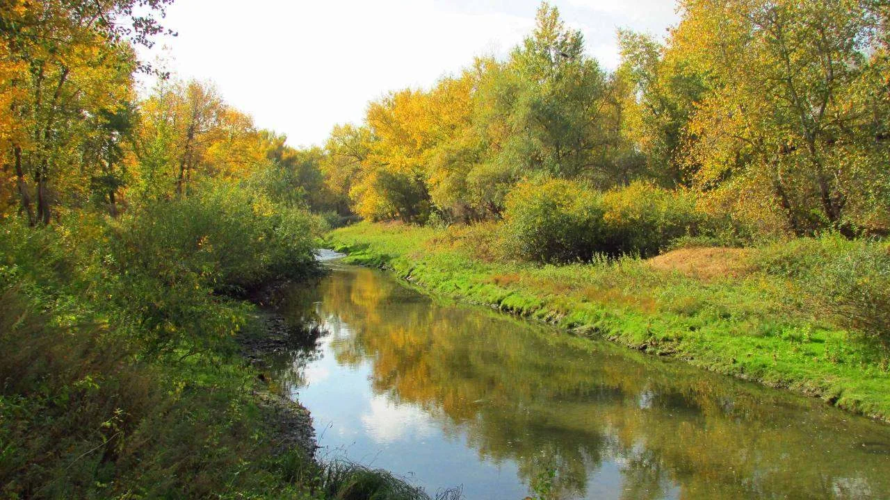 Осень на Спартановке! 🍁