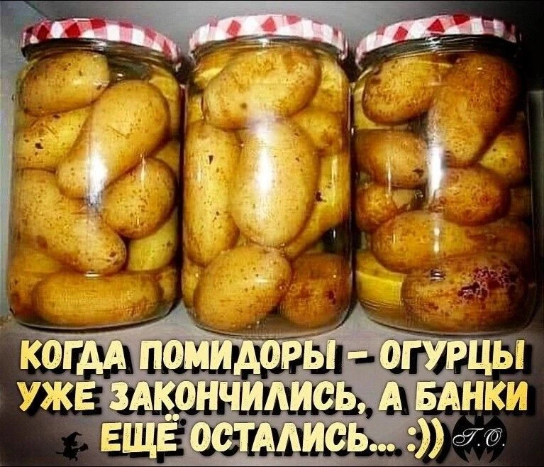 🥒 Спрос на товары для заготовок заметно вырос