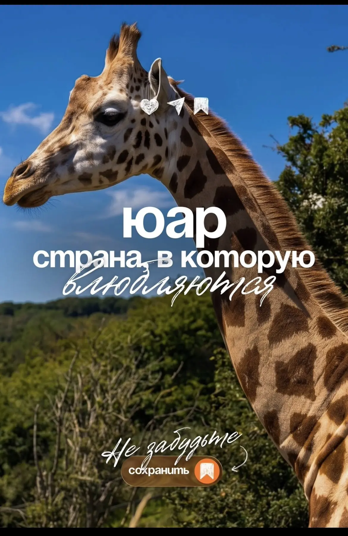 ЮАР: страна, которая ломает стереотипы и оставляет след на всю жизнь