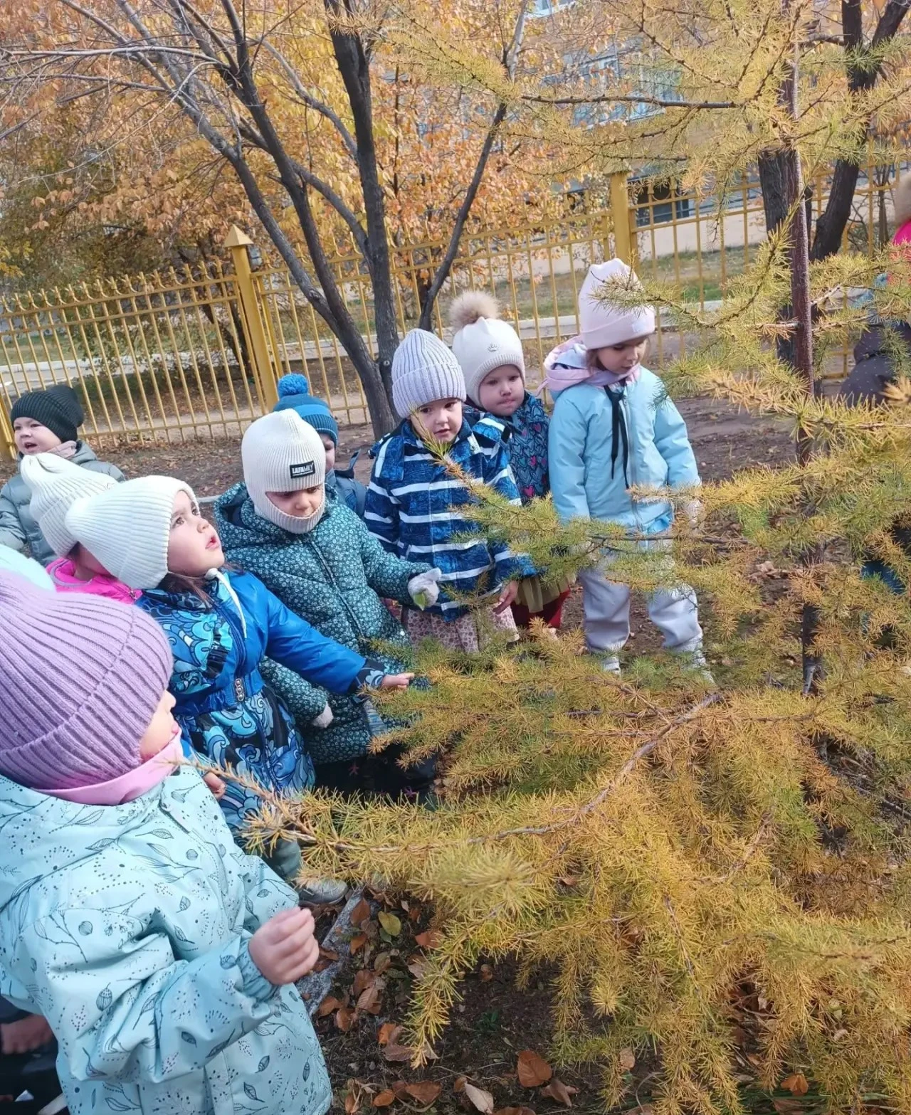Осень -волшебное и очень красивое время года!