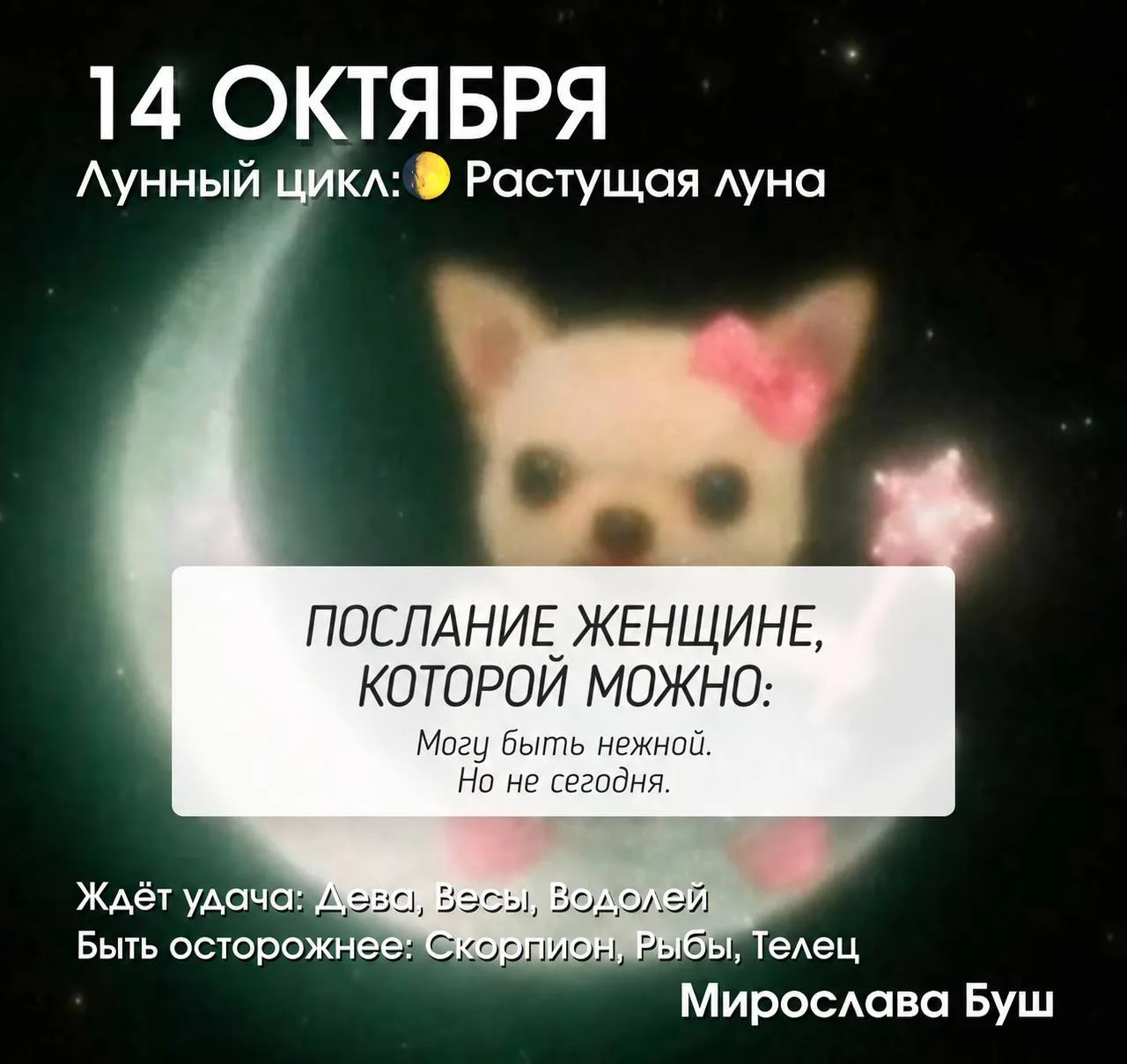 14 октября РЕКОМЕНДАЦИИ 🔥