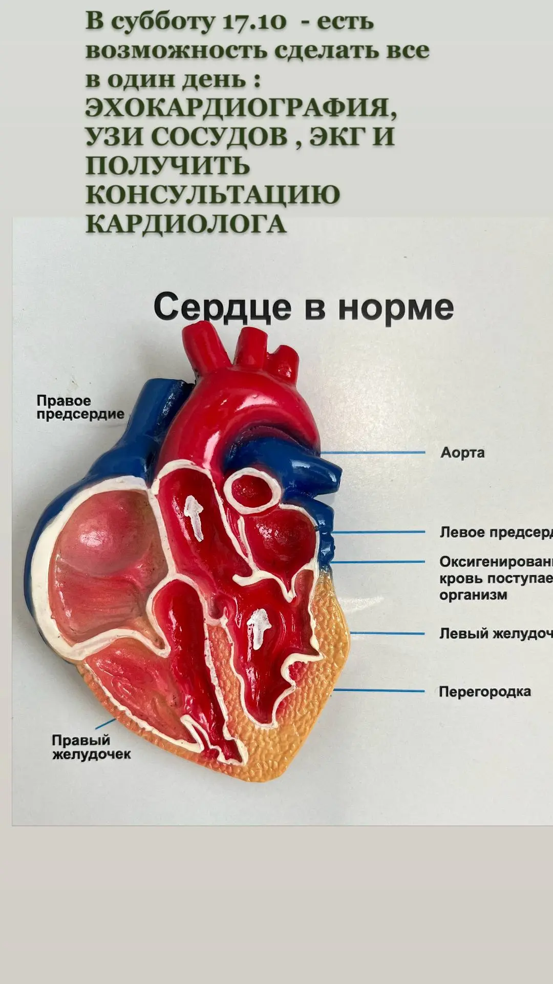 ул. Томилинская дом 249 Телефон 📲 8-932-555-32-81 ☎️ 30-90-06