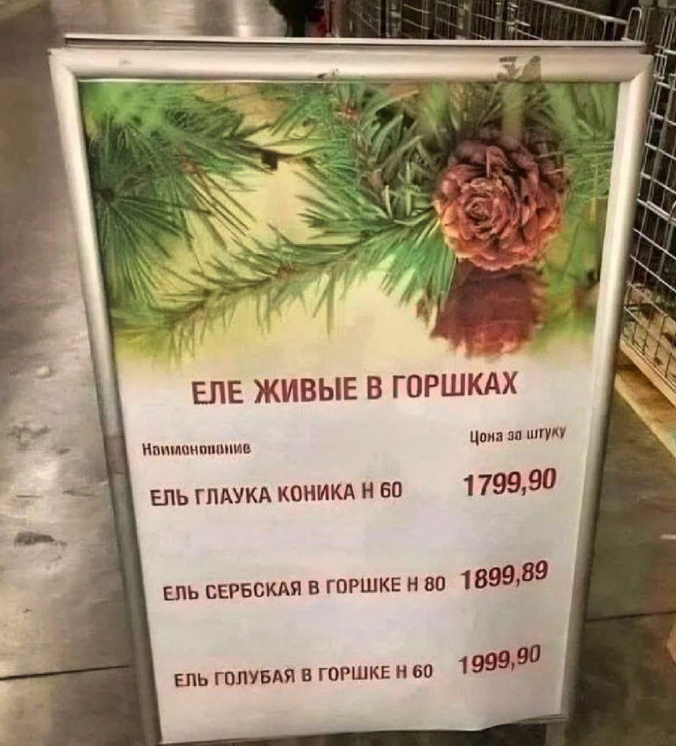 Начинаем самую никчёмную рабочую неделю для всех несчастных, кто не смог её избежать 🤣