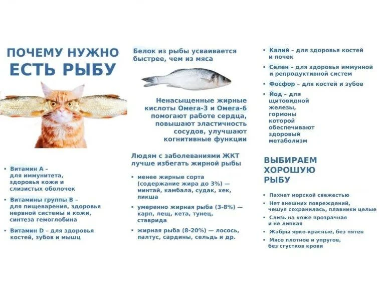 Рыбная продукция - важная составляющая здорового питания!