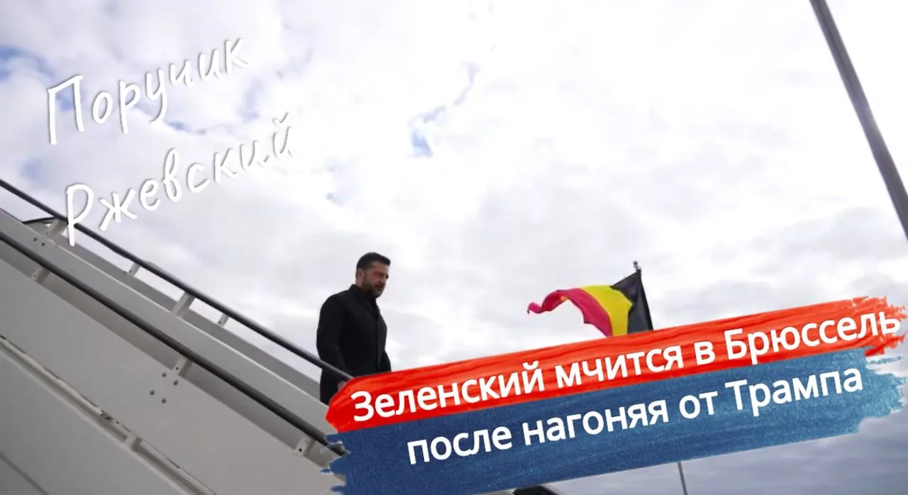 ⚡️ Зеленский мчится в Брюссель после нагоняя от Трампа