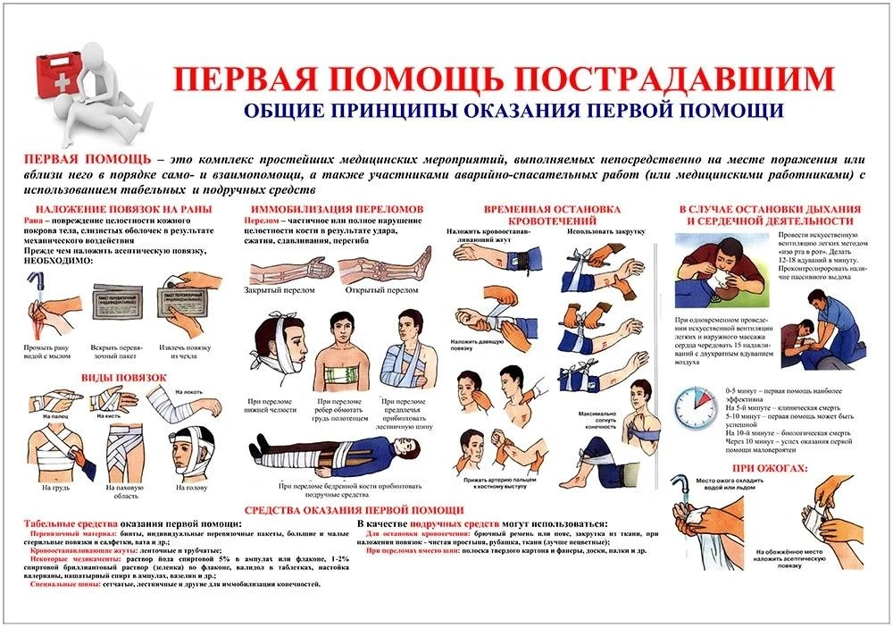 ⛑️ ГРАЖДАНСКАЯ ЗАЩИТА — ЗНАНИЯ, КОТОРЫЕ СПАСАЮТ ЖИЗНИ!