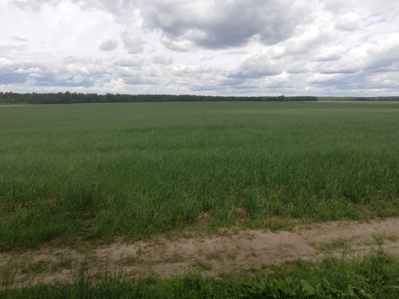 🌿Прокуратура добивается возвращения участка в Плёсе государству