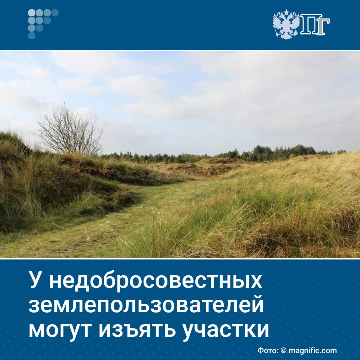 Владельцев земли могут лишить неиспользуемых сельскохозяйственных угодий, даже если они...