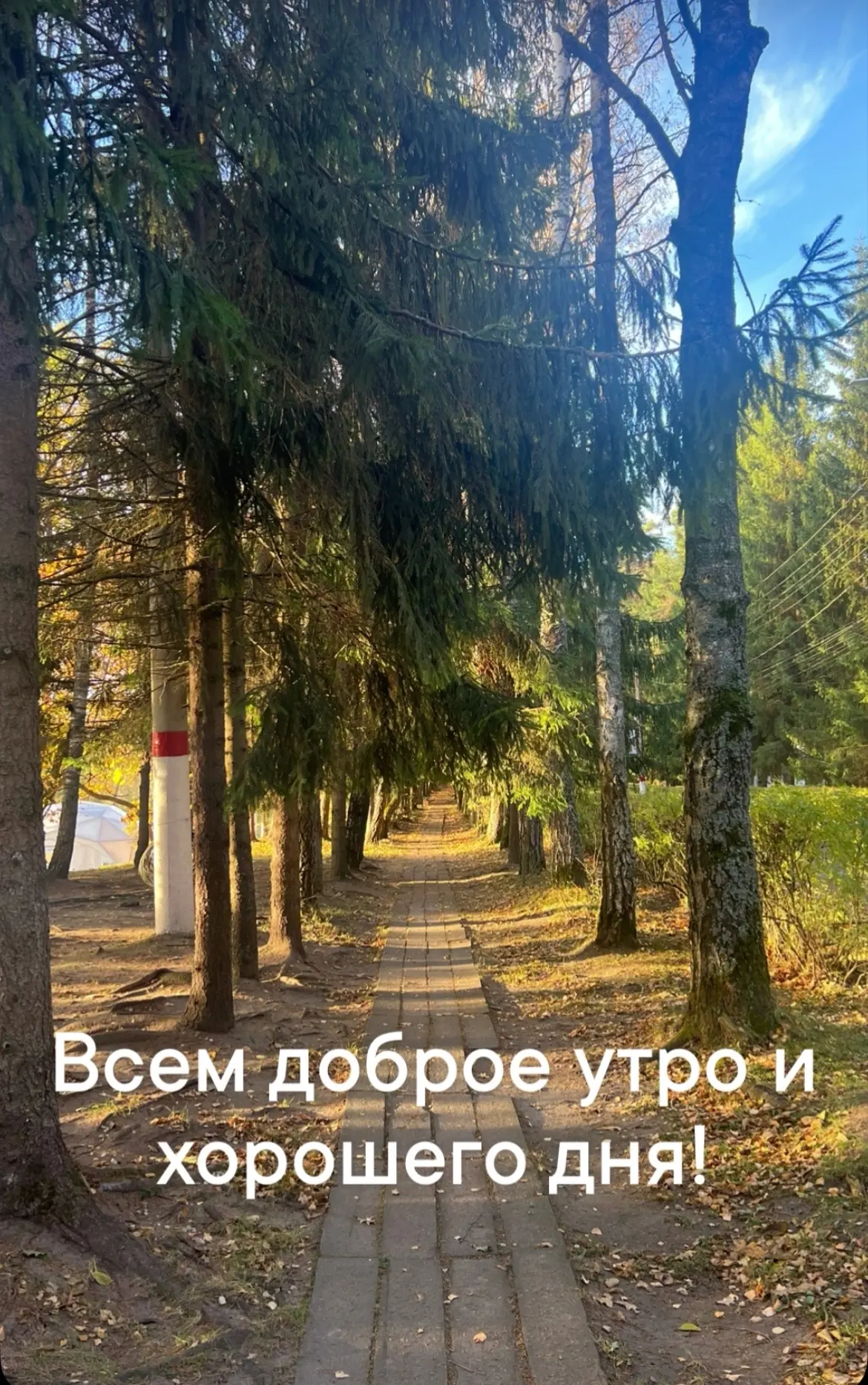 У нас в планах на сегодня поезд до дома и мы в процессе.